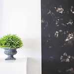 The Black House In
